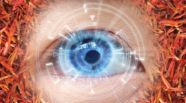 Illustration of saffron and retinal-cell research