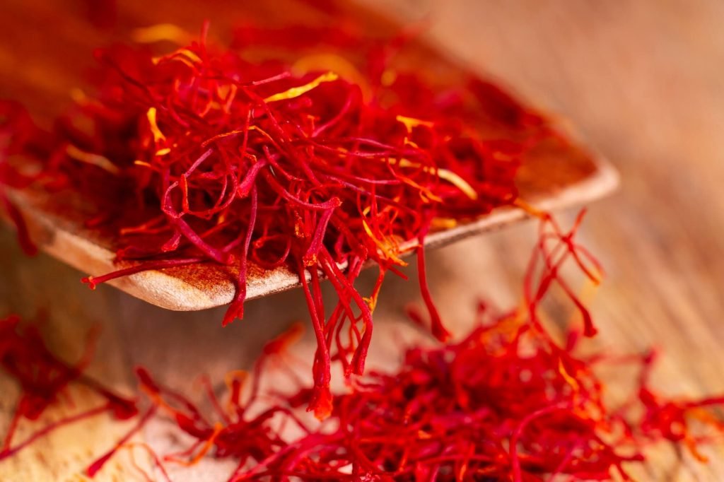 BlueRedGold: Sweden’s Vision for Indoor Saffron Innovation