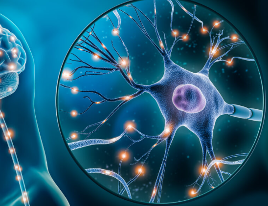 Illustration of a nerve cell with branching connections and glowing signals