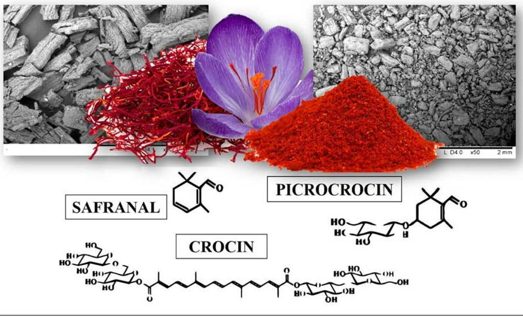 Illustration of cell-based saffron and its characteristic compounds crocin, picrocrocin and safranal