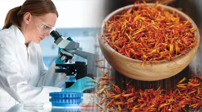 Laboratory research accompanying a discussion of saffron and sexual-function studies