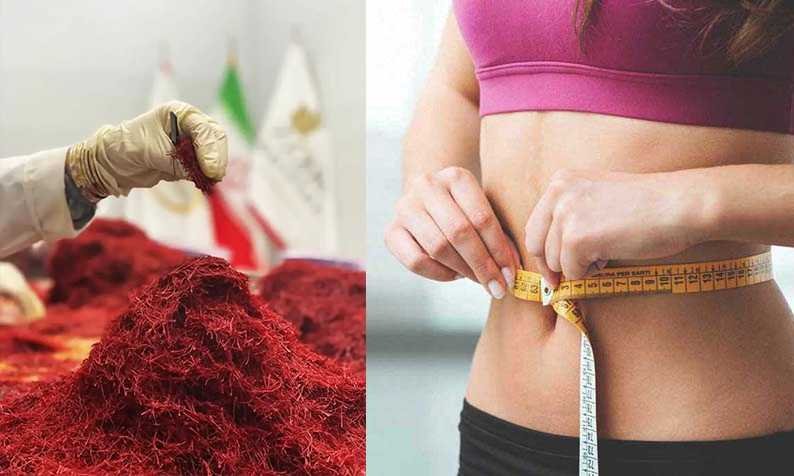 Saffron research and laboratory work related to appetite and weight management