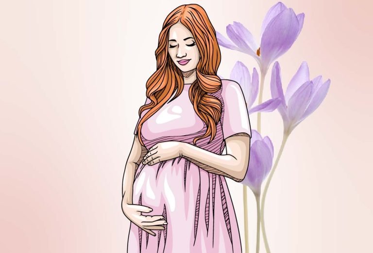 Illustration accompanying an article on saffron in pregnancy and safety