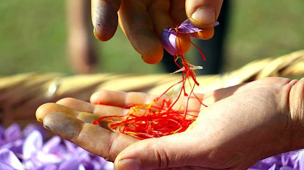 Saffron threads and preparation utensils
