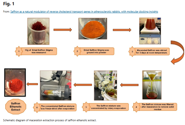 Saffron and cholesterol research illustration for the Saffron Academy