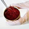 Afghan saffron threads in an open tin held in a gloved hand
