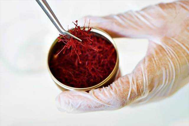 Saffrona Afghan Saffron – 20 g Professional Pack Afghan saffron threads in an open tin held in a gloved hand