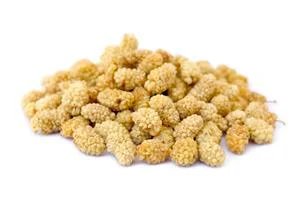 Afghan dried mulberries from Afghanistan at Terra Madre 2026