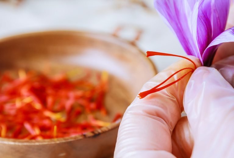 Safran Dosierung – Safranfäden, Safrantee und Safranextrakt im Vergleich für eine sichere tägliche Einnahme