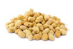 Afghan dried mulberries from Afghanistan at Terra Madre 2026