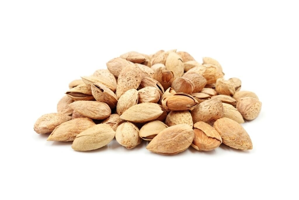 Afghan paper-shell almonds from Afghanistan at Terra Madre 2026