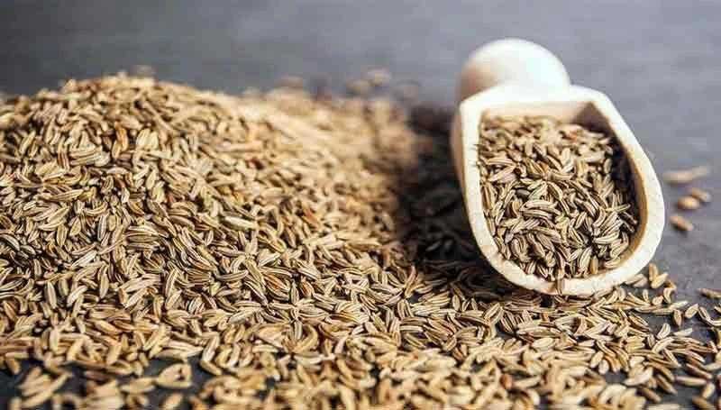 Afghan wild mountain cumin from Afghanistan at Terra Madre 2026